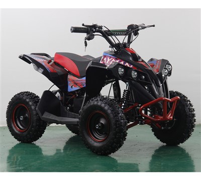 800 W elektrische vierwielige motorfiets quad voor kinderen