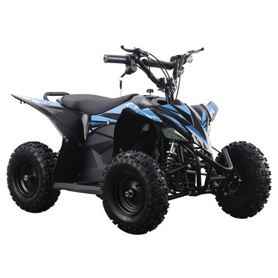36V 12AH elektrische ATV-quad voor kinderen